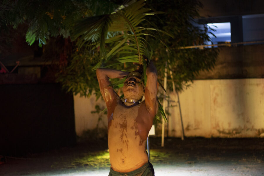 Vue de la pièce de danse « Le grand-père des arbres » en représentation à Le Centre