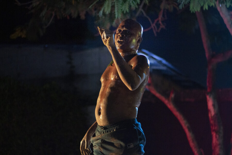 Vue de la pièce de danse « Le grand-père des arbres » en représentation à Le Centre