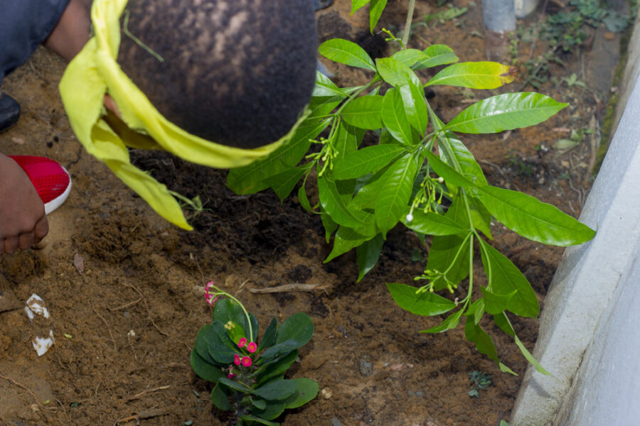 Vue de l'atelier jeune public d'initiation au jardinage