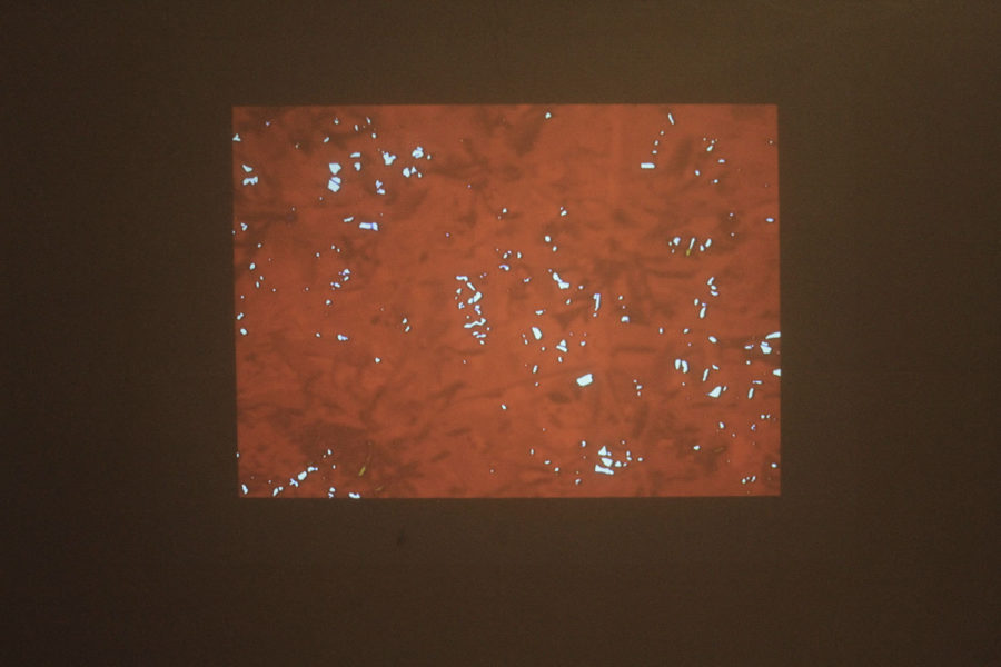 Vue de l'exposition : Didé