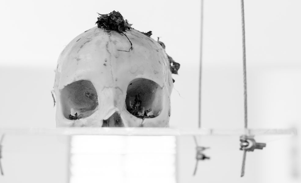 Extase à la vie : introduction #1