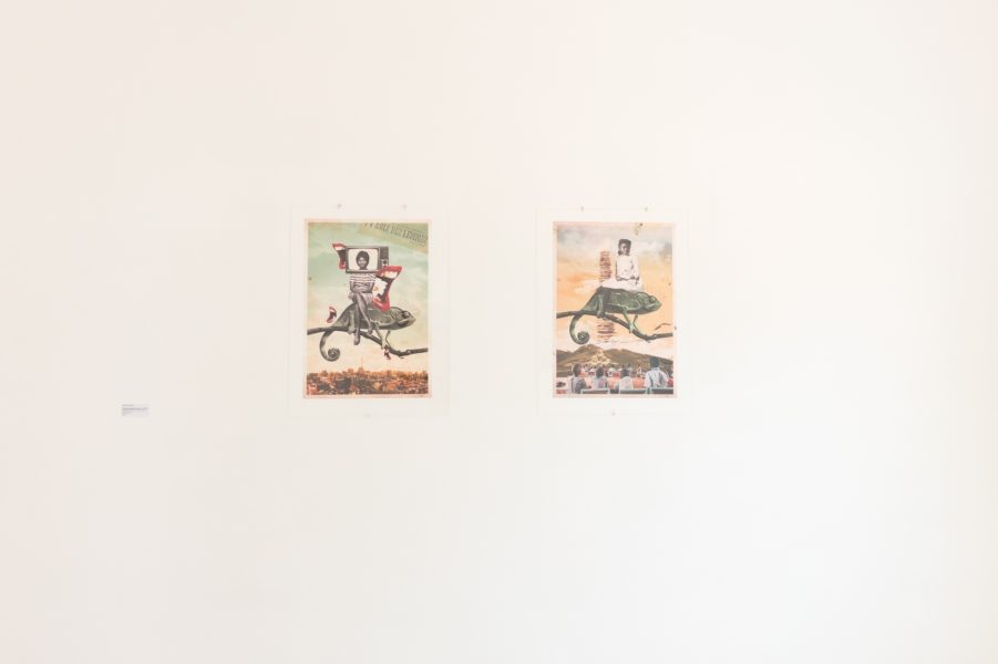 Chameleon Women series